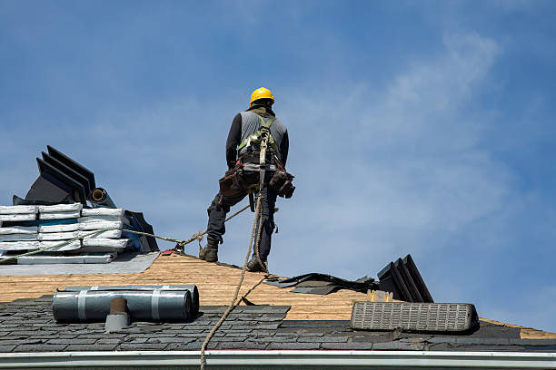 Professional Storm Damage Roof Repair technician working in Forks Of Salmon, CA